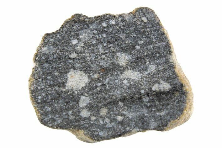 Polished Lunar Meteorite ( g) End Cut Slice - NWA #333165